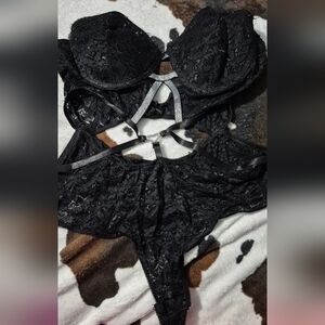 Plus Size (3X) Lingerie - Black Lace, Silver Sparkle Underwire Cups